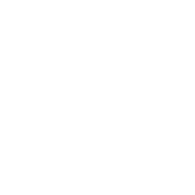 CIP 20